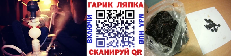 Гашиш Cannabis  Злынка 