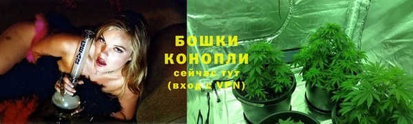 соль ск Аркадак