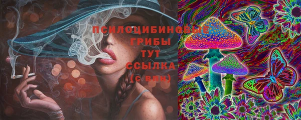 прущая мука Арсеньев