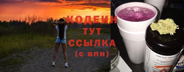 индика Балабаново