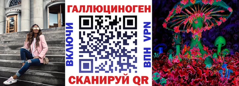 Псилоцибиновые грибы Magic Shrooms  купить наркотики цена  Злынка 
