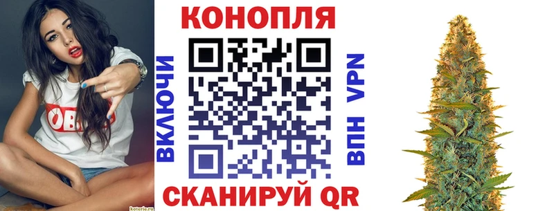 Каннабис планчик Злынка